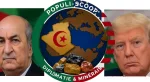 L'Algérie face au défi Trump, enjeu des terres rares dans la diplomatie