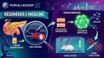 Un seul gène, le ALDH3B2 reconnu pour une fonction liée à la production de l'insuline