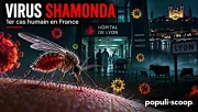 Premier cas humain du virus Shamonda, un décès en France crée une curiosité médicale 